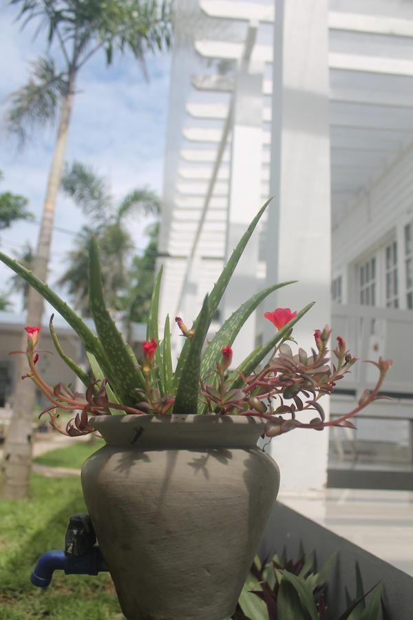 Casa Blanca Gili Air Hotel Exterior foto